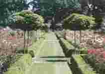 Portland's International Rose Test Garden