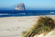 The Cape Kiwanda area on the Oregon coast.