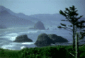 Ecola photo
