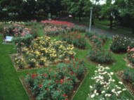 Ladd's Addition Rose Garden