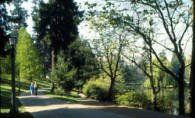 Laurelhurst