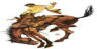 Pendleton Roundup - One of the nation's top rodeos.
