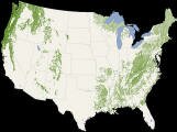 A forest canopy height map of the contiguous US. Credit: NASA Earth Observatory. Image by Jesse Allen and Robert Simmon. Based on data from Michael Lefsky