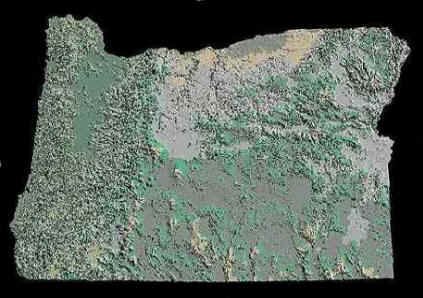 Relief Map of Oregon