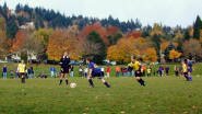 Hamilton Park
