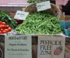 Hillsdale Market