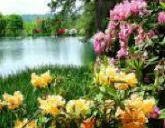 CrystalSprings