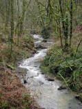 Macleay Park