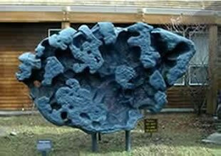 Willamette Meteorite