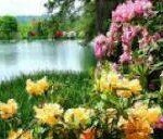 CrystalSprings