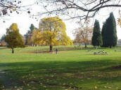 Fern Hill Park