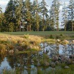 StoneCreekGolfCourse