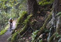 forestpark_biker