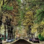 laddsaddition_street