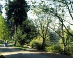 laurelhurst
