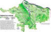 tree_canopy_small