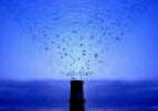 vaux_swifts