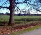 Farm